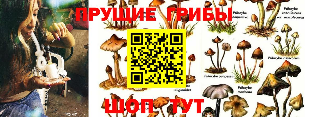 Октябрьский  Псилоцибиновые грибы MAGIC MUSHROOMS  Вход с VPN 