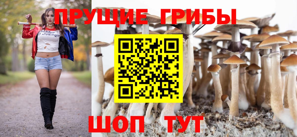 Галлюциногенные грибы мухоморы Октябрьский