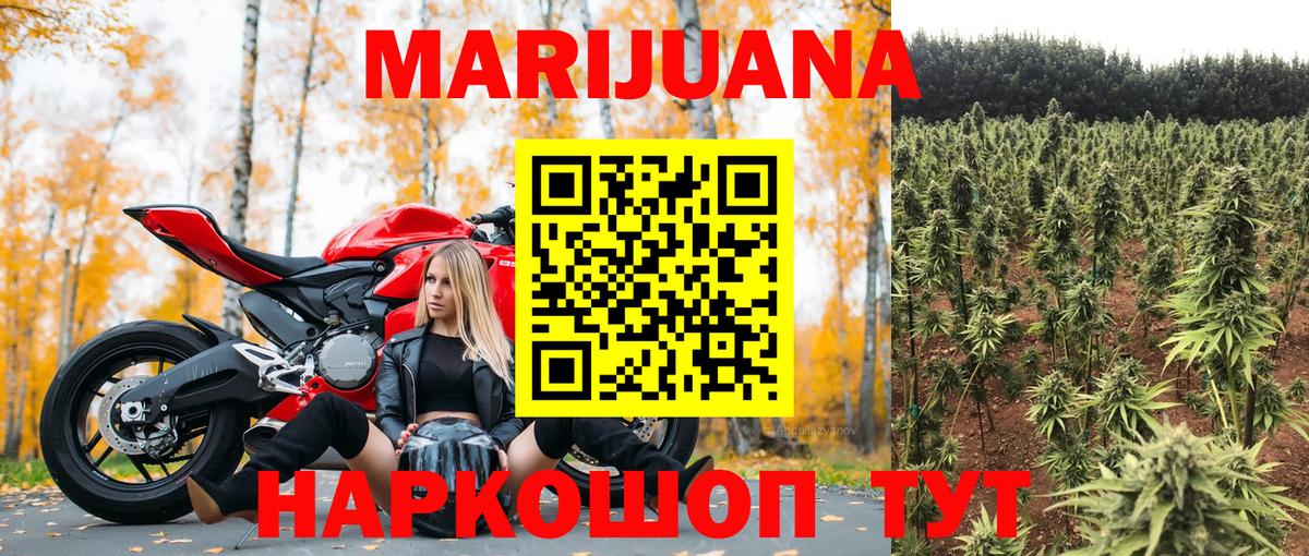 Октябрьский  Каннабис план  Вход с VPN  Марихуана индика  Конопля Bruce Banner  Конопля индика 